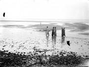 Paysage littoral à marée basse. Les touristes sur la plage