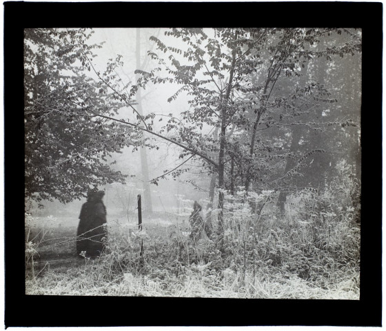 Effet de brouillard à Bacouël novembre - 1903