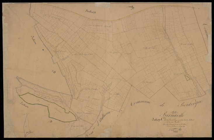 Plan du cadastre napoléonien - Bernaville : Bois de Pierremont (Le) ; Mont de Meillard (Le), C