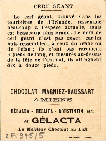 Chocolat Magniez-Baussart, Amiens. Cerf géant
