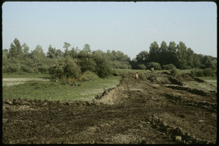 [Sécheresse 1989 : le marais privé d'eau]