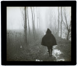 Effet de brouillard dans les marais de Boves - 1907