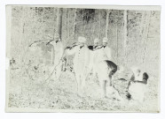 Bois du Mazis - 20 avril 1914