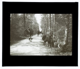 Chasse à courre forêt d'Eu - 1914