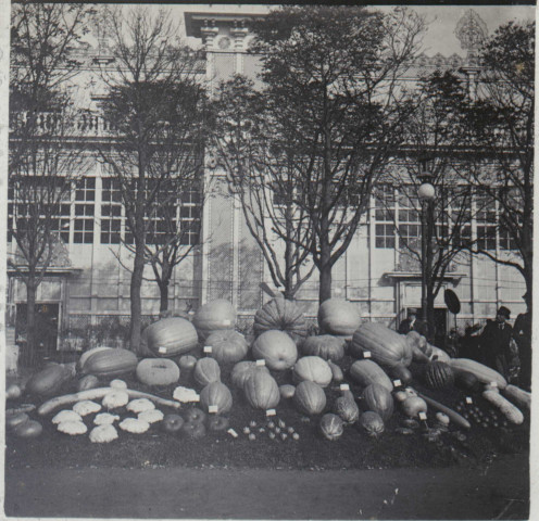 Exposition - Horticulture