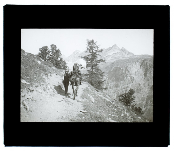 (Suisse) Chemin du lac Noir la montée - juillet 1903