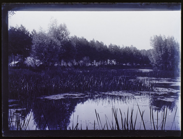 Marais de Rivery - juillet 1902