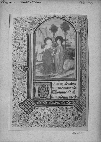 Manuscrit enluminé, livre d'heures. Bibliothèque municipale d'Amiens. XVe siècle