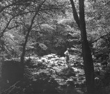 Homme debout sur une pierre le long d'un ruisseau dans une forêt