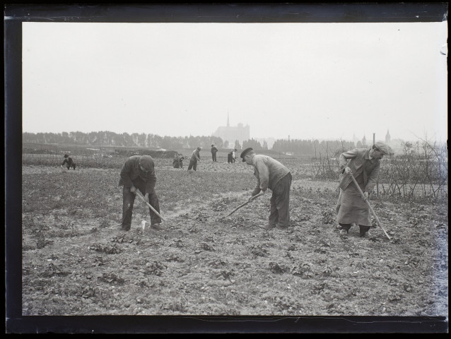[Le travail de la terre dans les champs environnant Amiens. Au fond, on distingue la cathédrale d'Amiens]