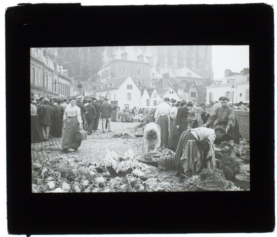 Amiens marché aux légumes - mai 1905
