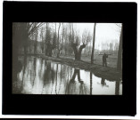 Marais de Paillart (Oise) - mars 1905