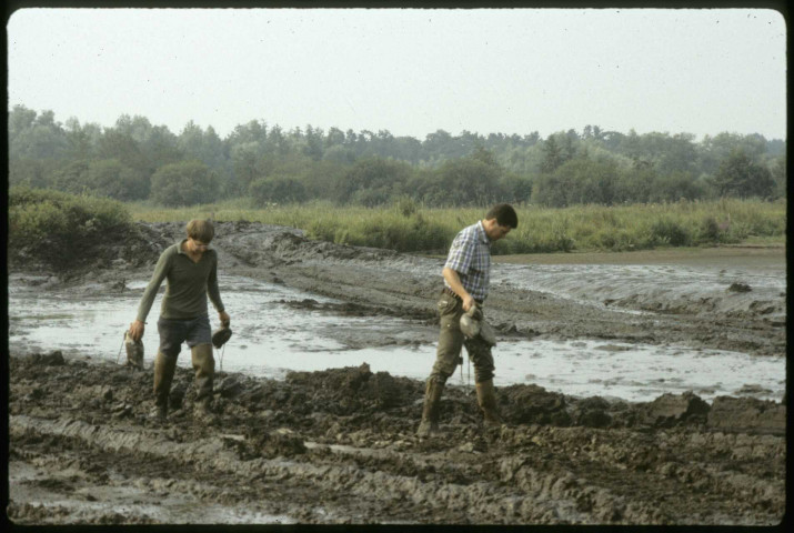 [Sécheresse 1989 : le marais privé d'eau]