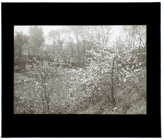 Marais de Rivery - mai 1928