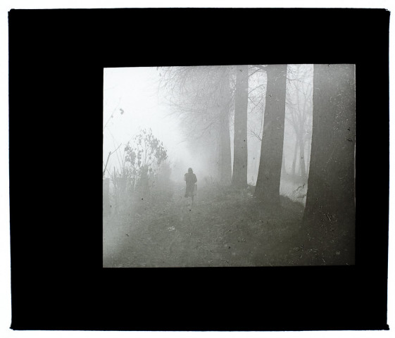 Amiens sentier à la Hotoie, brouillard - décembre 1932
