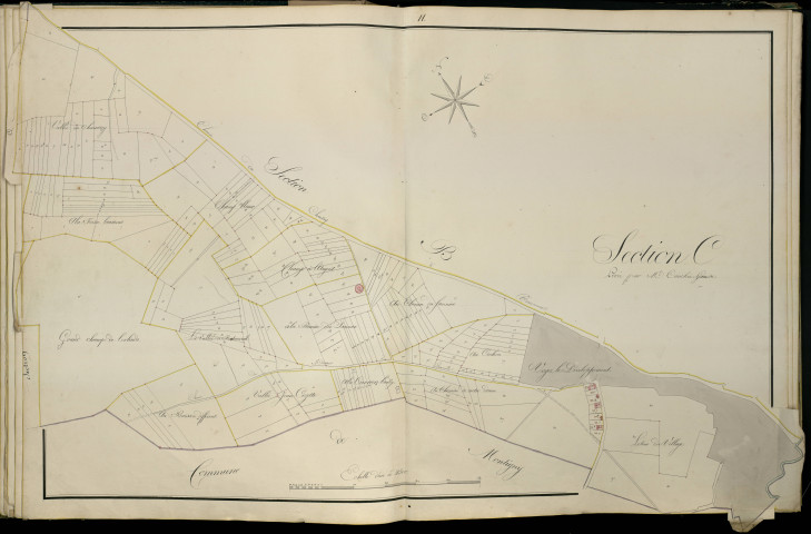 Plan du cadastre napoléonien - Atlas cantonal - Beaucourt-sur-L'hallue (Beaucourt) : C