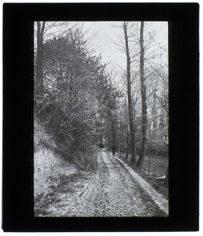 Sentier à Neslette - mai 1902