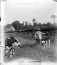 Portrait d'un fermier présentant ses vaches