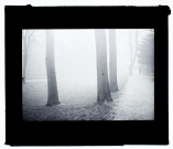 Amiens les Petits Jardins brouillard - octobre 1932