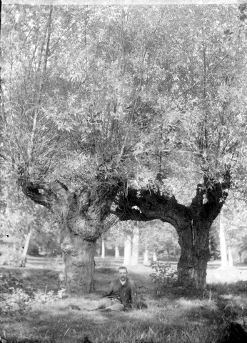 Portrait d'homme sous les saules