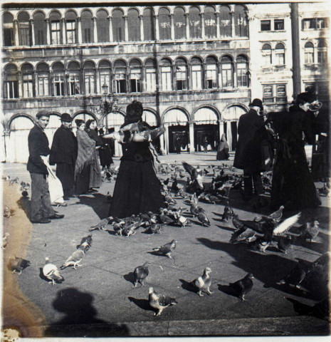 Venise - Pigeons place Saint-Marc