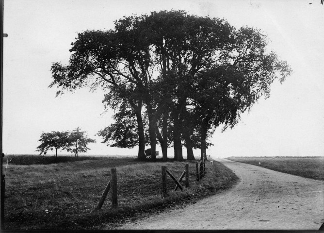 Paysage campagnard : le bosquet de douze arbres appelés "les fillettes"
