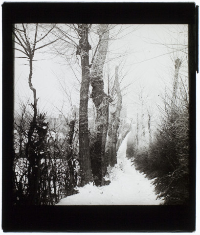 Sentier à Camon - février 1902