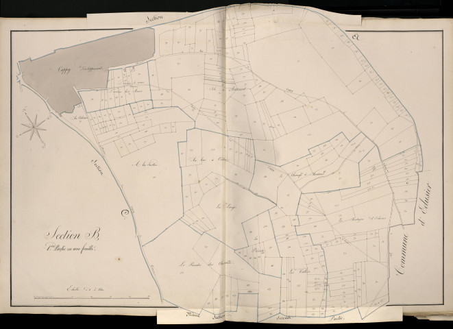 Plan du cadastre napoléonien - Atlas cantonal - Cappy : B1