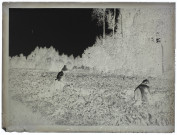 Vue prise près de l'étang de Clermont - août 1901