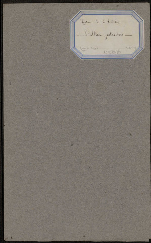 Caltha Palustris, plante prélevée à Amiens (Somme, France), dans les marais de Longpré, juillet 1889