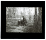 Marais de Hailles - avril 1907