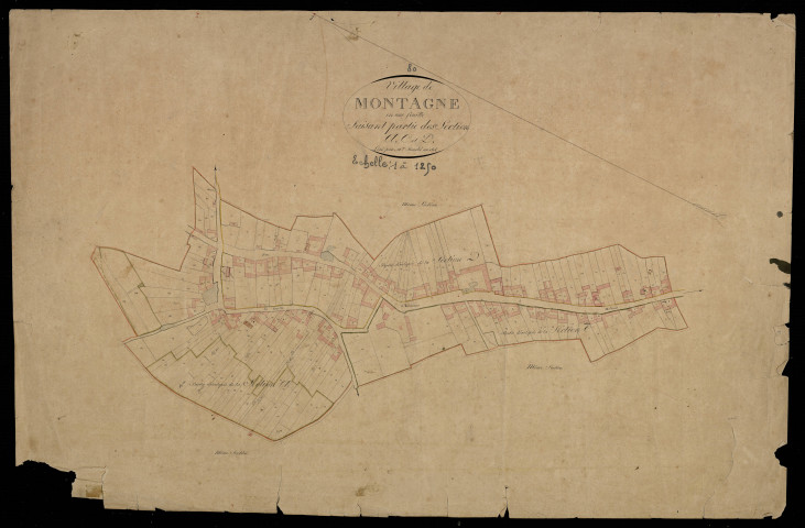 Plan du cadastre napoléonien - Montagne-Fayel (Montagne) : Village (Le), A, C et D développées