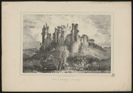 Ruines de Pierrefonds (forêt de Compiègne) N°12