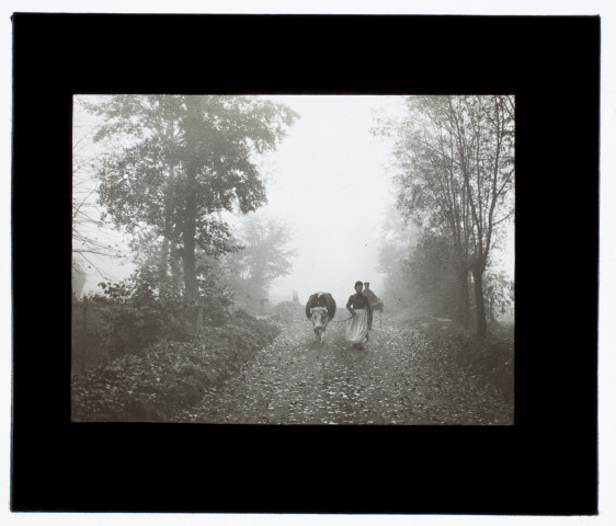 Effet de brouillard Blangy-sur-Bresle - octobre 1912