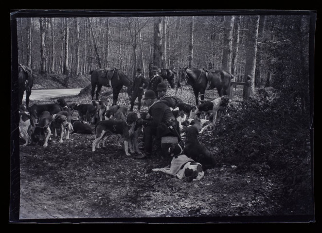 Forêt d'Eu - 17 avril 1914