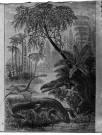 Les habitants de la période triasique : capitosaure, bélodon, nothosaure