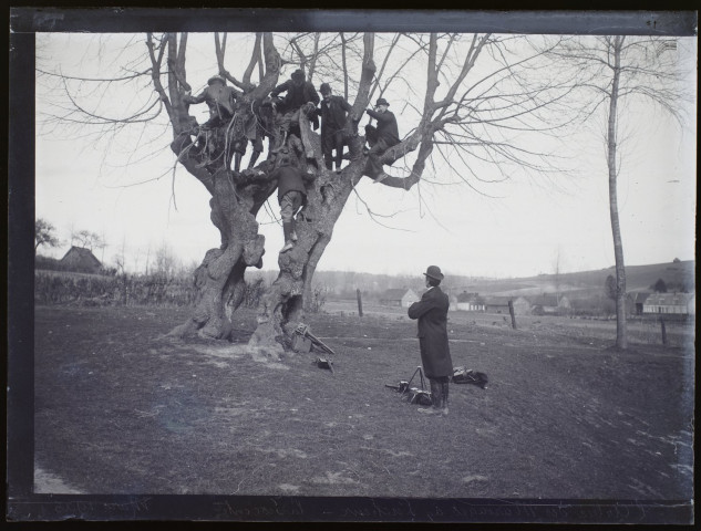L'arbre des mariages à Lucheux, la descente - mars 1905
