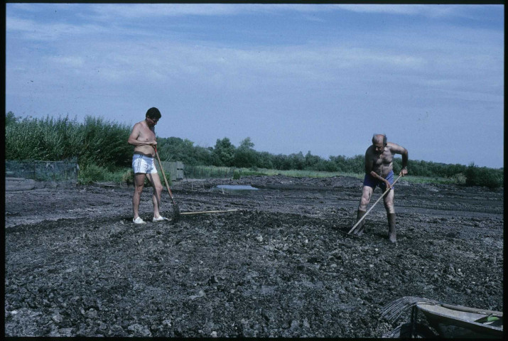 [Travaux dans les marais durant la sécheresse 1989]