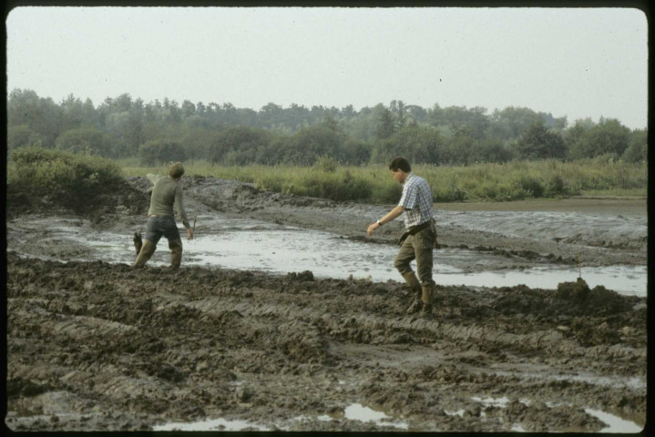 [Sécheresse 1989 : le marais privé d'eau]