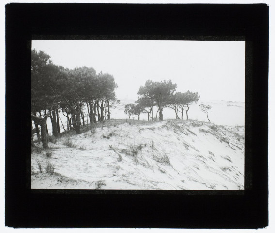 Dans les dunes à Camiers - mai 1904
