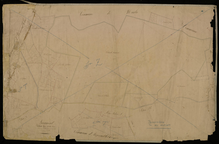 Plan du cadastre napoléonien - Lieramont : Bois (Le), A