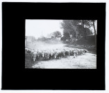 Troupeau de moutons route de Bray-sur-Somme