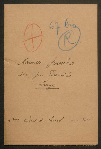 Témoignage de Bouko, Narcisse (Maréchal des logis - Cavalier) et correspondance avec Jacques Péricard