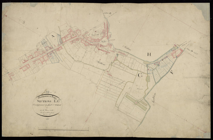 Plan du cadastre napoléonien - Roye : Faubourg Saint-Médart (Le), développement des sections A et G