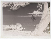 Vue prise à l'Ile-Saint-Honorat - avril 1905