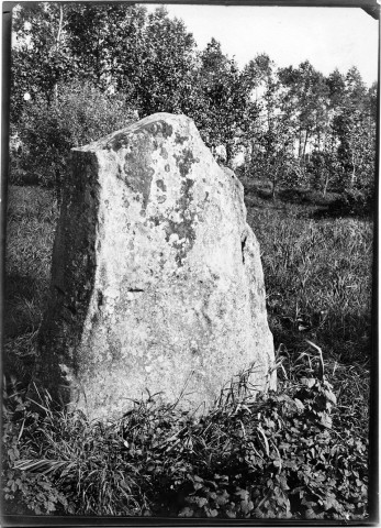Menhir dit "La pierre qui pousse" à Eppeville