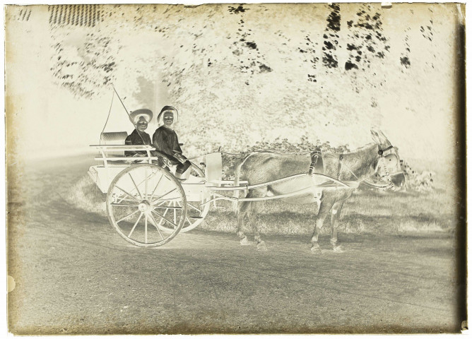 Martinsart (Somme). Enfants de la famille Danel dans une petite carriole tirée par des ânes