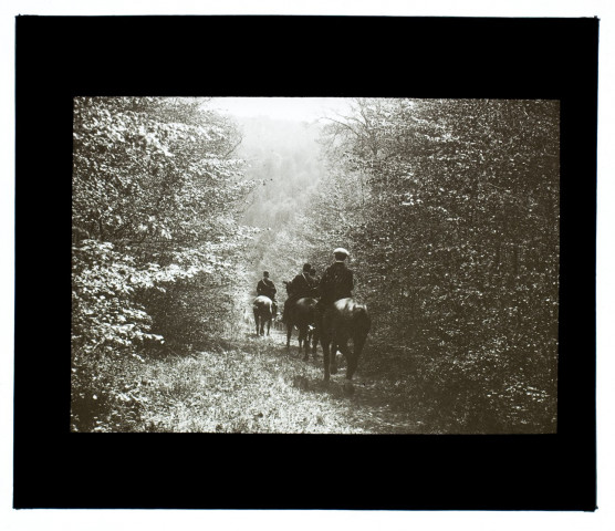 Forêt d'Eu chasse à courre - avril 1914