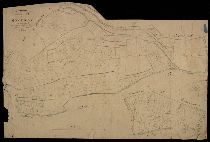 Plan du cadastre napoléonien - Montigny-sur-L'hallue (Montigny) : A