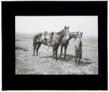 Chasseurs à cheval - juillet 1911